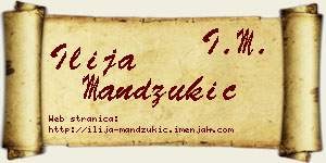 Ilija Mandžukić vizit kartica